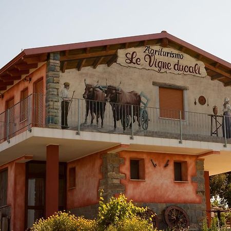 Agriturismo Le Vigne Ducali Màndas Екстериор снимка